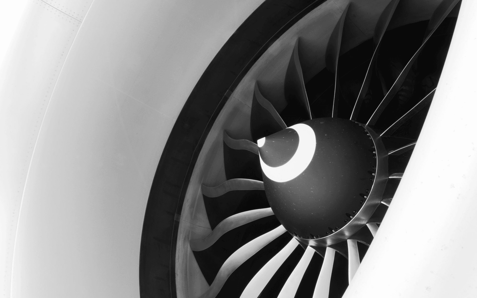 Aircraft engine fan blades.